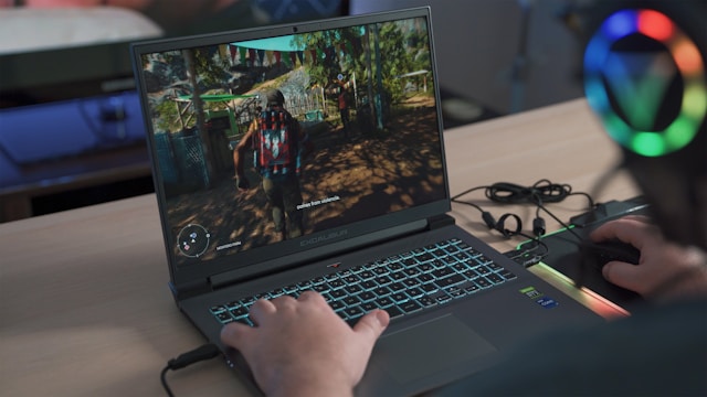 Gameplay